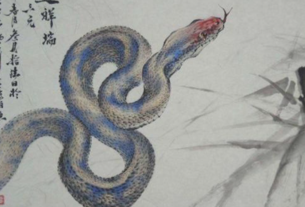 2021马上就到,牛年属蛇人的运势怎么样,属蛇人来看看