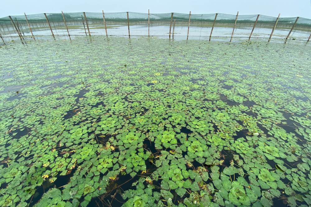 人口液水是碱_碱液图片(2)