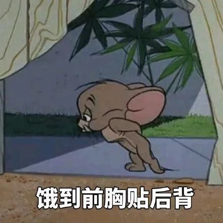 沙雕表情饿到前胸贴后背