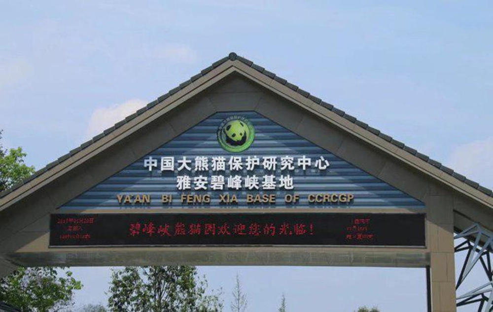 中国大熊猫保护研究中心雅安碧峰峡基地(资料图)