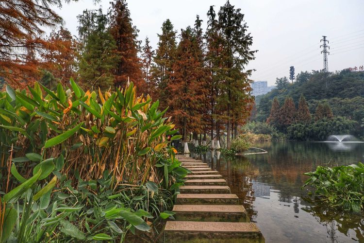 带你去旅行彩云湖湿地公园