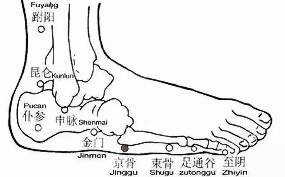 跗筋脚挛.《大成》:胁痛,针丘墟,中渎.