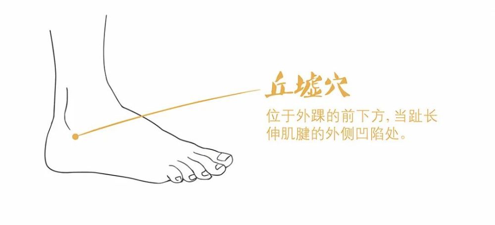 跗筋脚挛.《大成》:胁痛,针丘墟,中渎.
