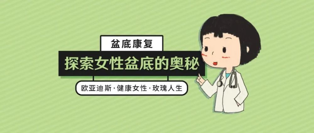 盆底康复必须掌握的基础理论你都懂了吗