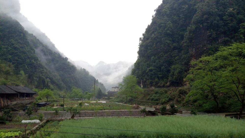 张家界人口 经济总量_人口普查(2)