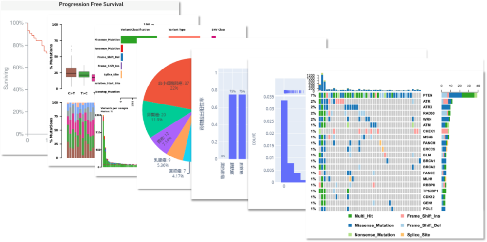 bgi-peta v2.0持续助力肿瘤数据统计分析