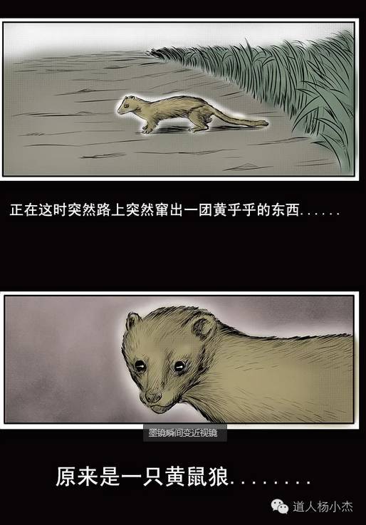 民间恐怖故事漫画之黄皮子复仇