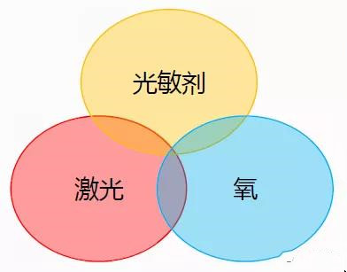 常规化疗gdp费用_这4点1步解决你的化疗困惑 患者(2)