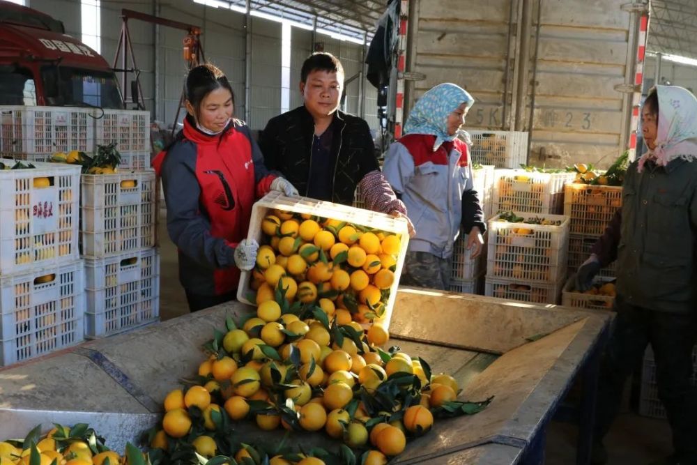 岜盆村人口_岜盆初级中学图片