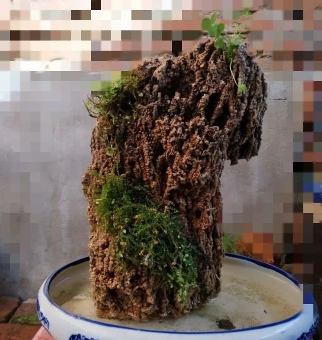 磁州上水石雕刻——手中托起一片山水