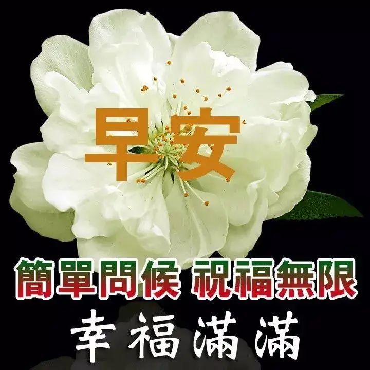 中老年表情包,每天第一声问候,给你最美的祝福!