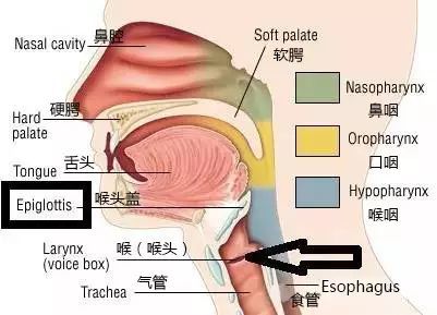 宝宝喉咙发出呼呼声音是感冒了还是喉喘鸣呢?