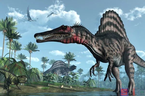 sbike动植物百科:地球上人气最高,最著名的十大恐龙!