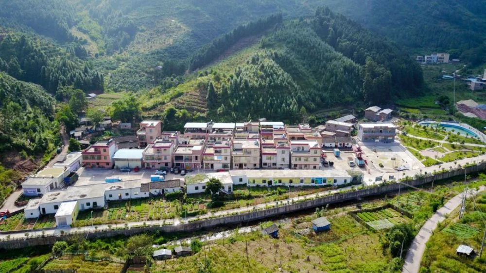 全国文明村镇|杨梅镇何皮村