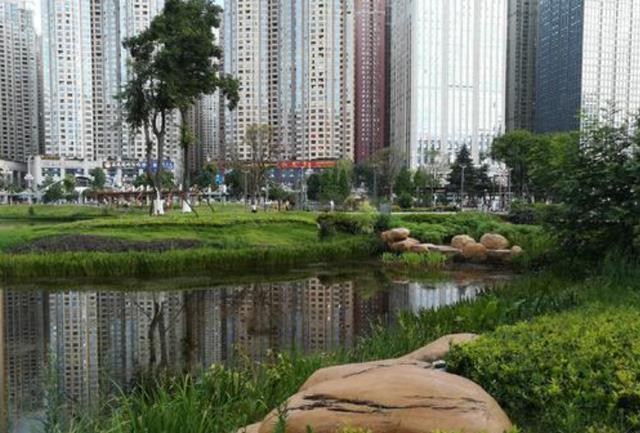 苹果园小区人口_深圳苹果园小区图片(3)
