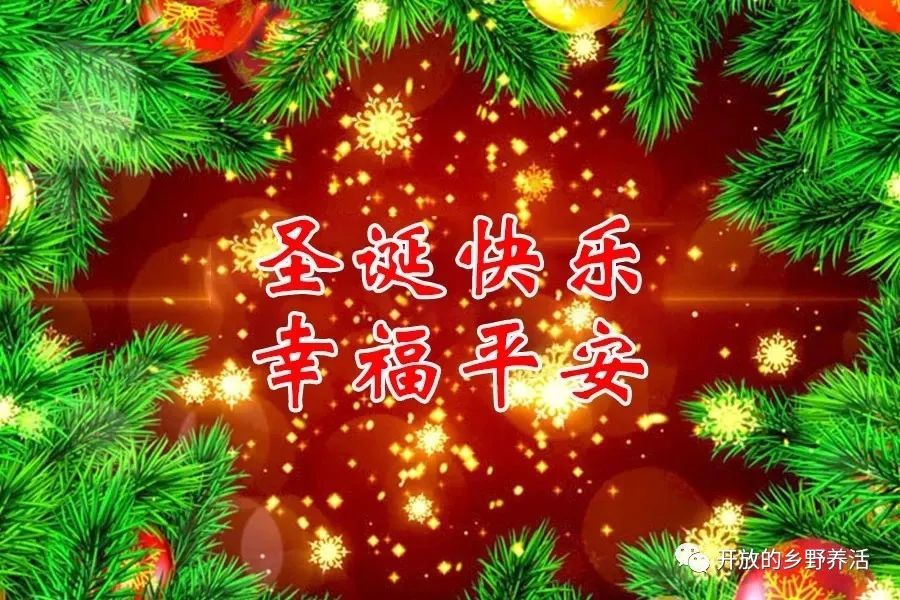 平安的祝福 腾讯网