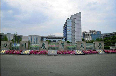 2020年四川省高校排名:43所大学分7档!西南财经大学居