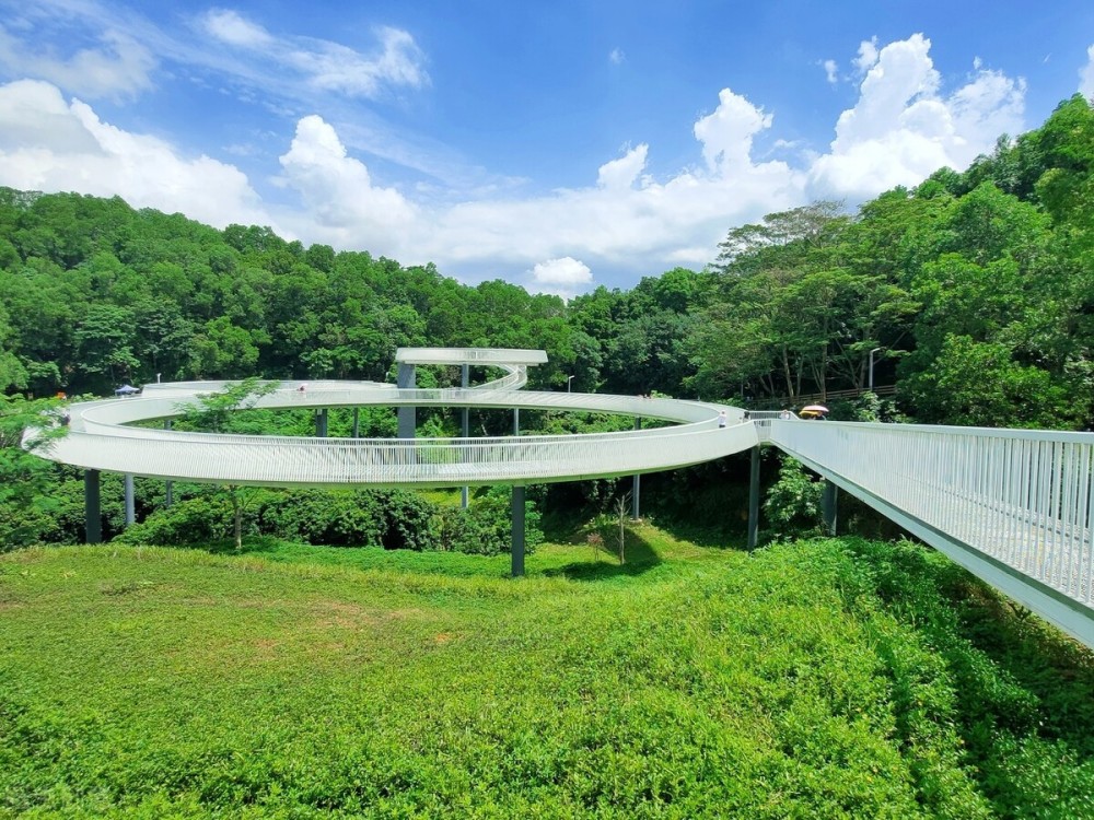 史上最全!2020深圳网红打卡圣地,周末要来拍大片吗?