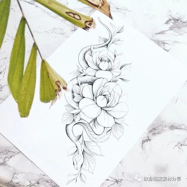 蛇与素花纹身手稿