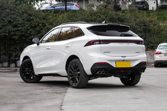 风行t5 evo确实足以堪称一款突出,甚至有着越级实力的全新家用suv