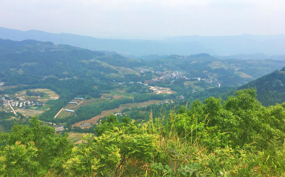 君塘镇人口_宣汉县君塘镇渔池村