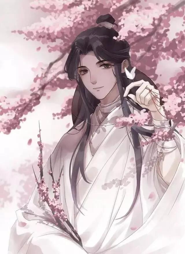 天官赐福:花怜壁纸