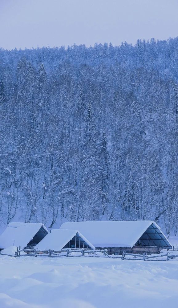 夏有凉风冬有雪,即便冬日寒酷,雪的存在也着实为它添了不少浪漫.