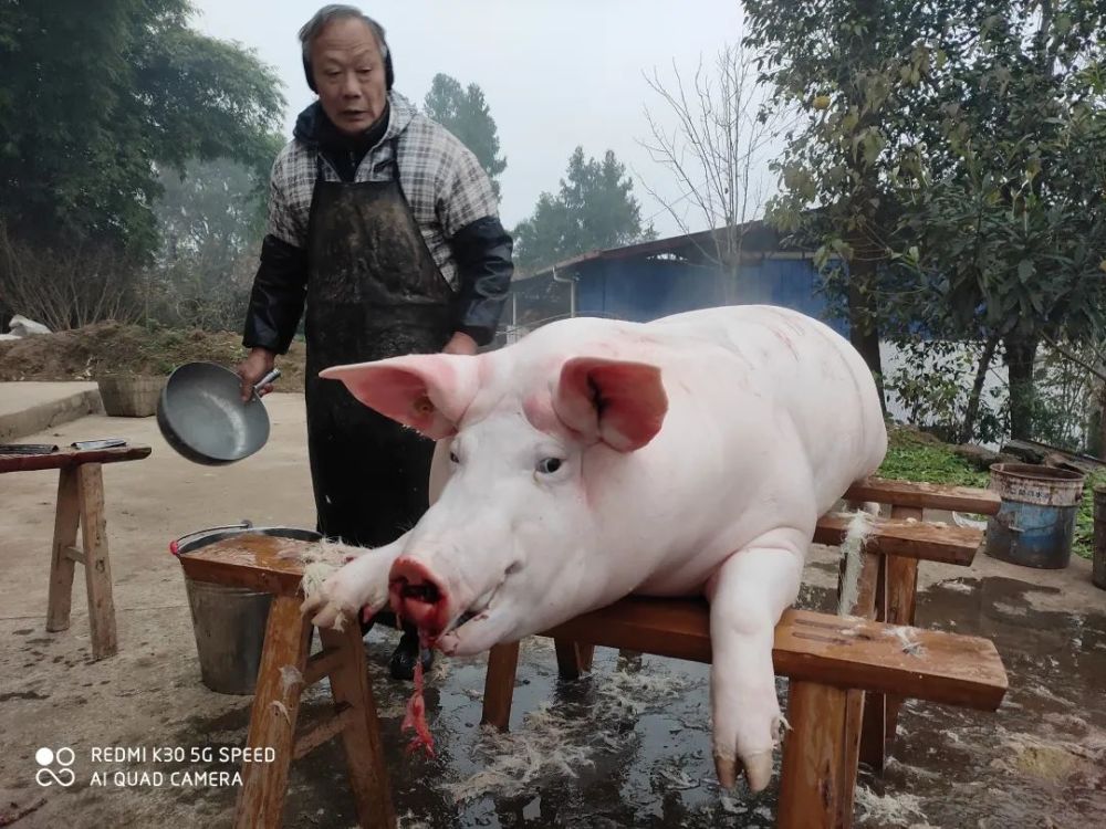 年猪分剪之后热热闹闹的摆上一桌子菜,叫上乡亲们喝酒庆祝