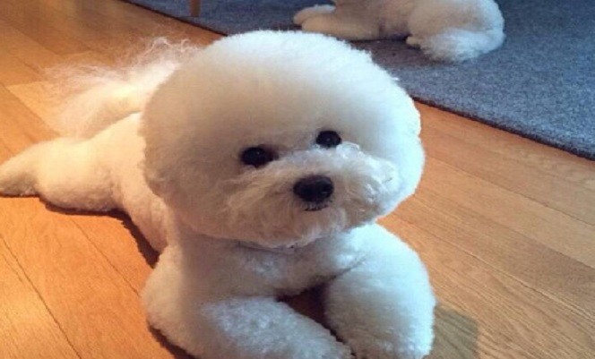 1000