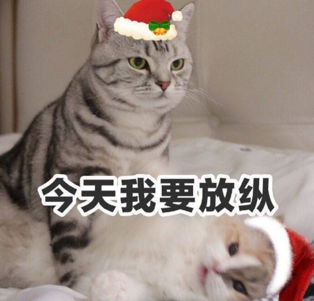 喵星人表情包:不理你啦!