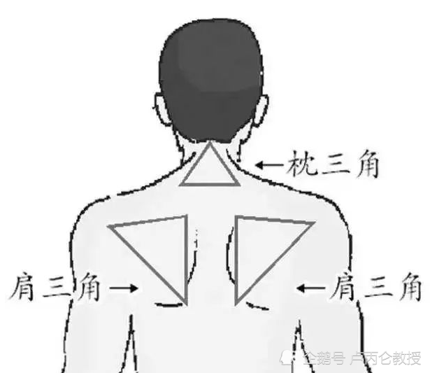 的话,其实也算不上三百六十度闭合的一圈,因为中间脊柱部位和三角区