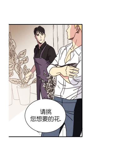 彩虹漫画|亲爱的本杰明,伪装beta中(i ii 季)黑道x花艺师