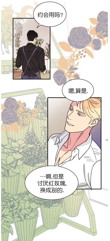 彩虹漫画|亲爱的本杰明,伪装beta中(i ii 季)黑道x花艺师