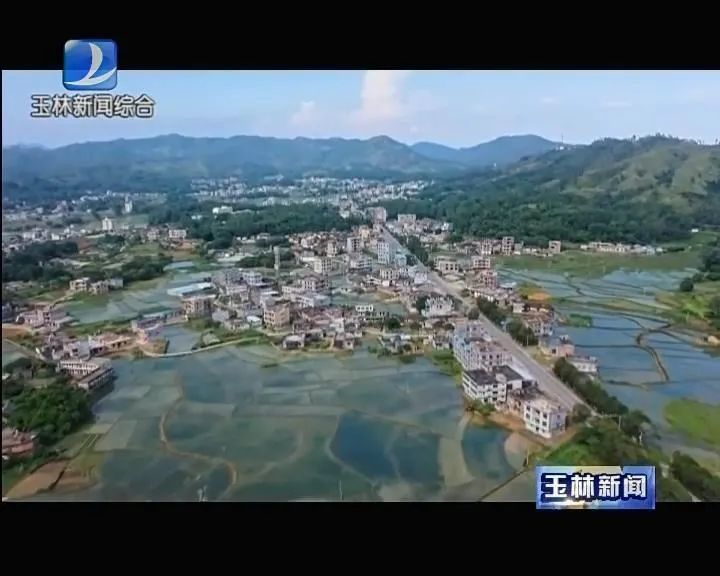 玉林市北流市新圩镇河村纪委书记 杨继权:我们村里面荒废的宅基地有