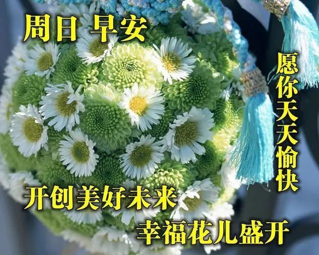 虎年早上好祝福唯美图片带字最新版问候早安表情美图唯美温馨的关心