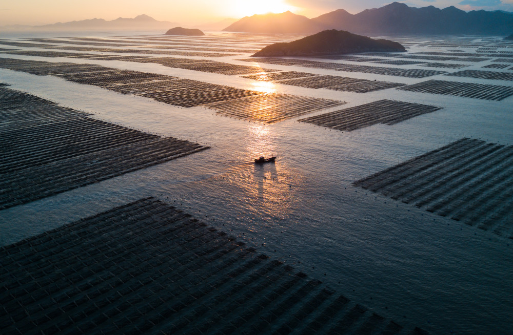 福建霞浦人口_福建的霞浦地图(2)