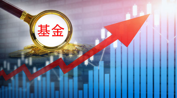 重仓股暴赚10倍qdii冠军逆势重仓这个行业基金经理揭秘投资逻辑