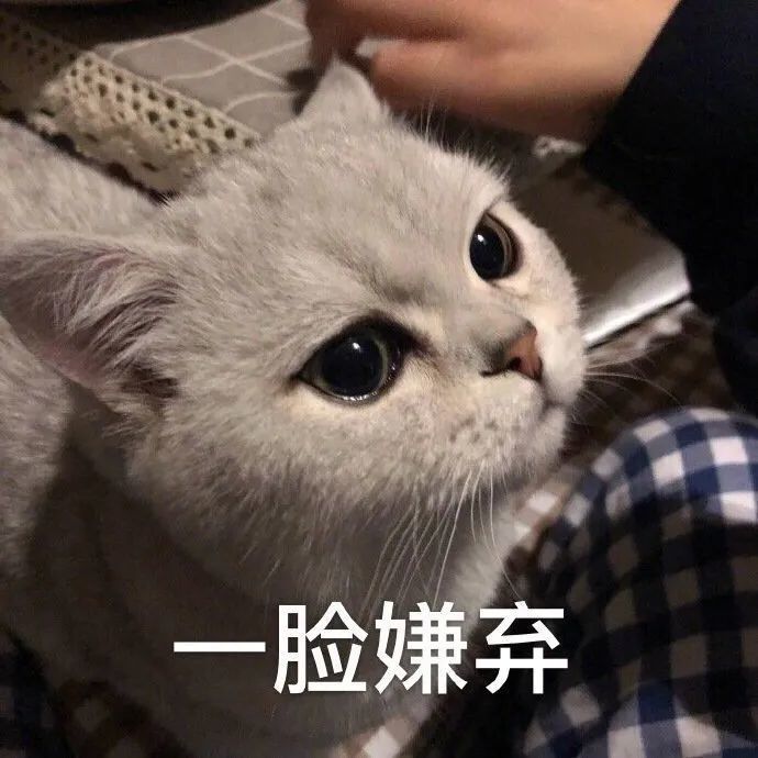 表情包:眼神警告