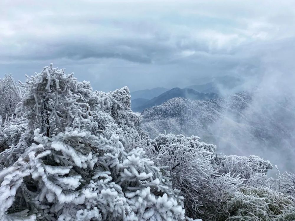 湖南南岳衡山雾凇,从广州出发仅两小时高铁,像天宫一样绝美