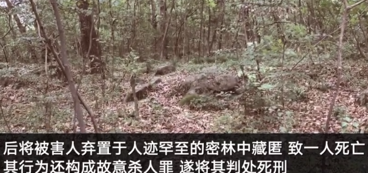 女生遭侵犯溺亡案，凶手改判死刑的正义之路