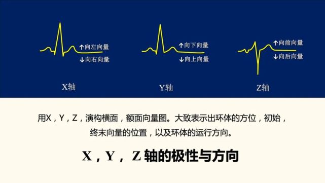 多种不同的心电导联接法,你掌握了吗?