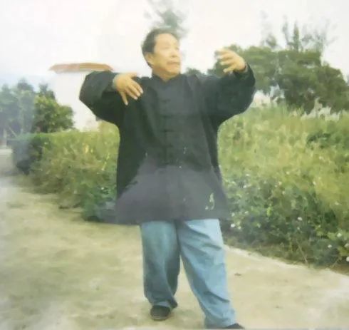 意拳养生桩,大成拳养生桩等内家养生桩里,我还没有找到.