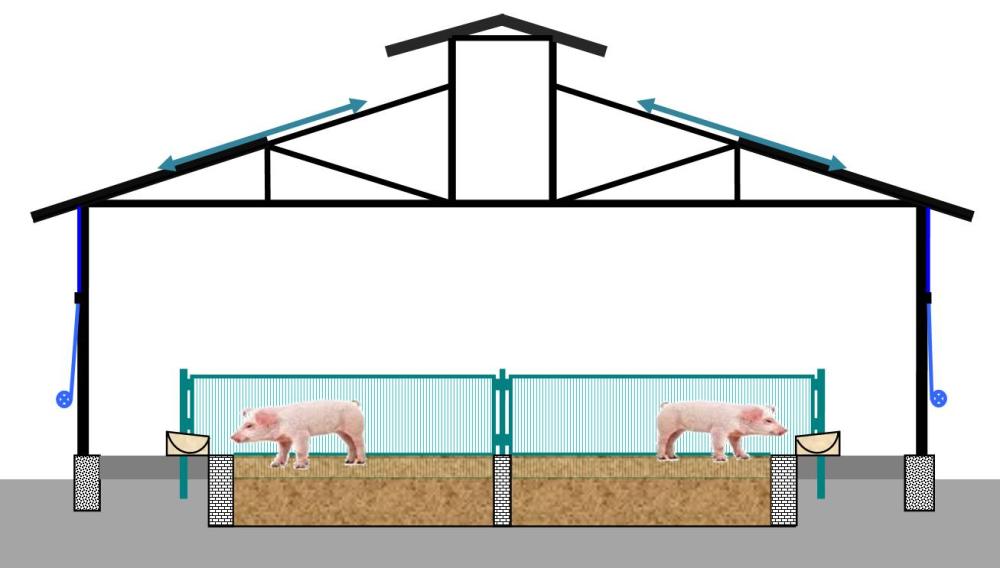 自然养猪法之育肥猪舍建设因气候因素导致南北方设计存在差异性