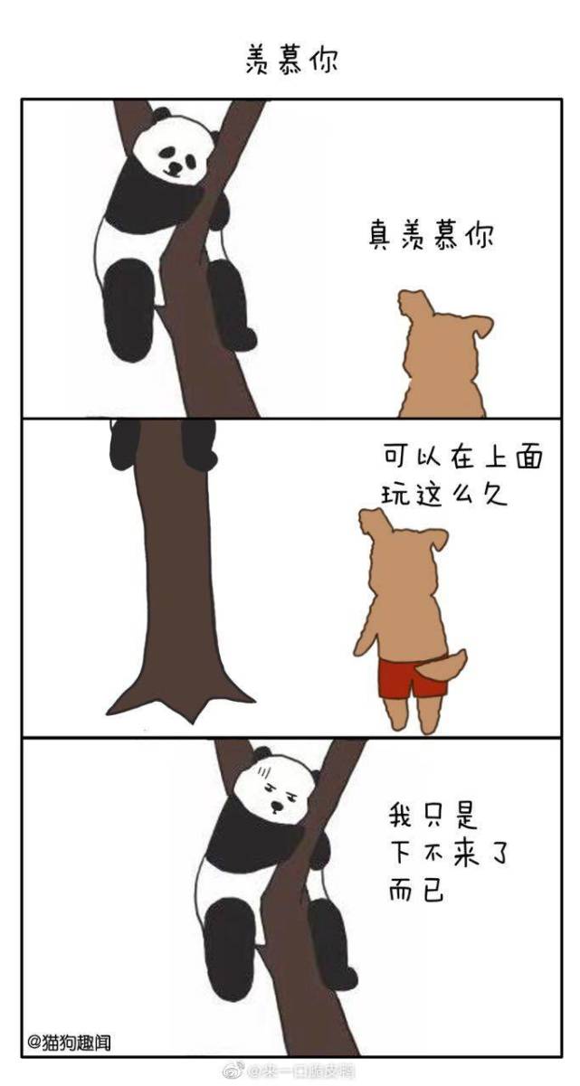 猎奇漫画搞笑小动物的沙雕对话