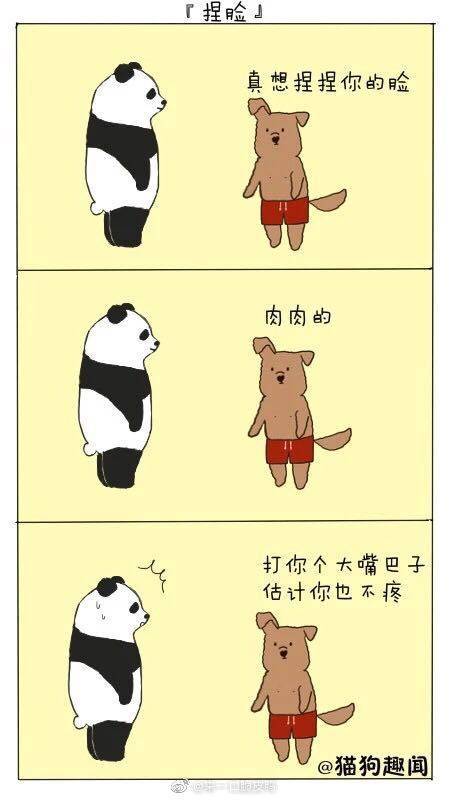 猎奇漫画搞笑小动物的沙雕对话