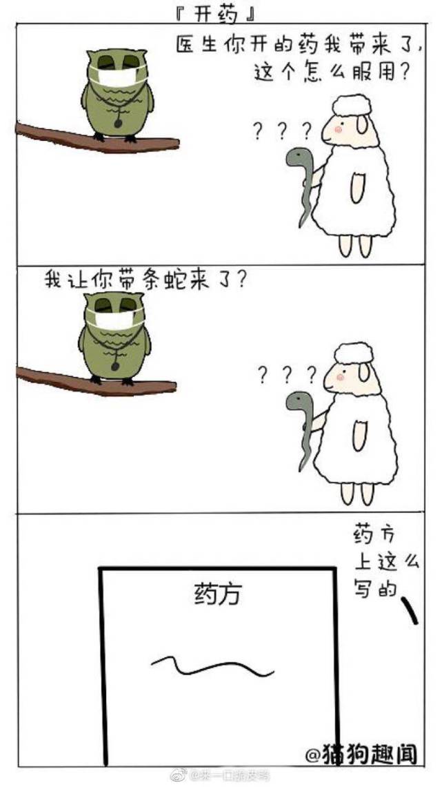 猎奇漫画搞笑小动物的沙雕对话