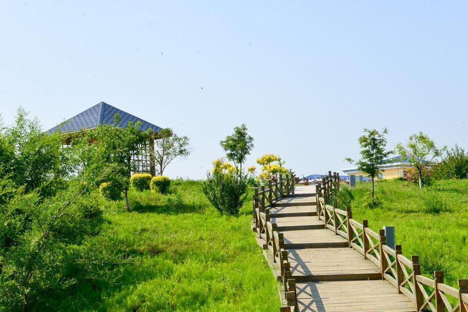 德惠市的经济总量_德惠市地图(2)