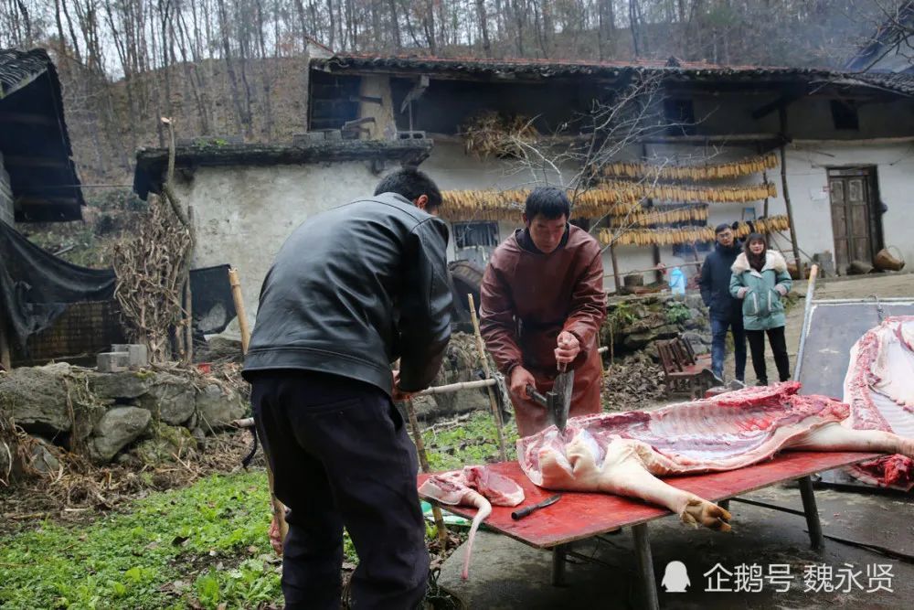 大巴山里的杀猪匠:四人合伙给老乡杀年猪,最多一天杀了17头猪