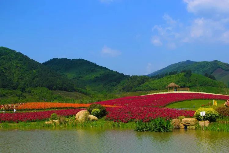 慈溪鸣鹤古镇景区