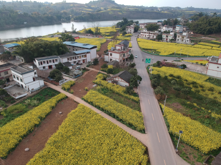 富顺县狮市镇花园村